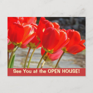 Voir à la maison ouverte! cartes postales Tulip Fl