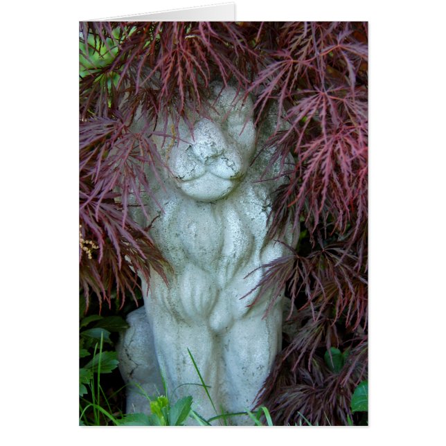 Voir moi Roar (Devant)