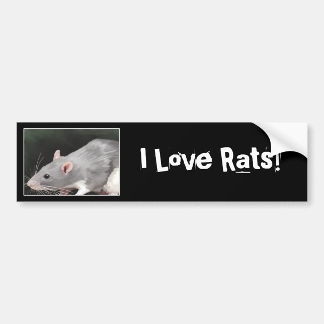 Voiture Autocollant de bumper de rat mignon (Devant)