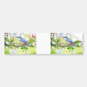 Voiture autocollant de pare-chocs bluebird de spring fling