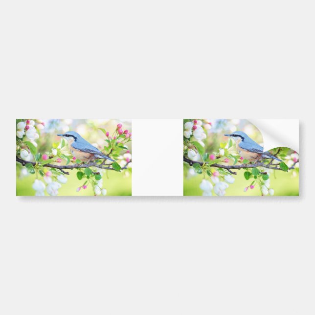 Voiture autocollant de pare-chocs bluebird de spring fling (Devant)