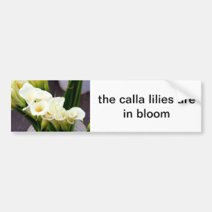 Voiture autocollant de pare-chocs calla lilies