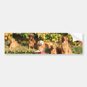 Voiture Autocollant de pare-chocs Golden Retriever de 8 mi