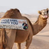 autocollant de pare-chocs oncle samil vous veut