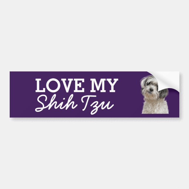 Voiture Autocollant de pare-chocs Shih Tzu (Devant)