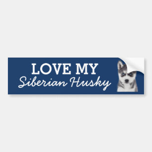 Voiture Autocollant de pare-chocs Sibérien Husky