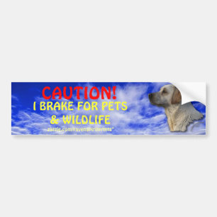 Voiture Autocollant pare-chocs pour animaux de compagnie e