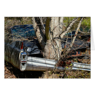 Voiture détruite par cru enroulée autour de