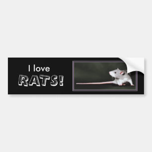 Voiture J'adore les RATS ! - autocollant de pare-chocs rat