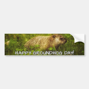 Voiture Joyeux Jour de la marmotte ! autocollant pare-choc