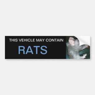 Voiture peut contenir un autocollant de pare-chocs de rats