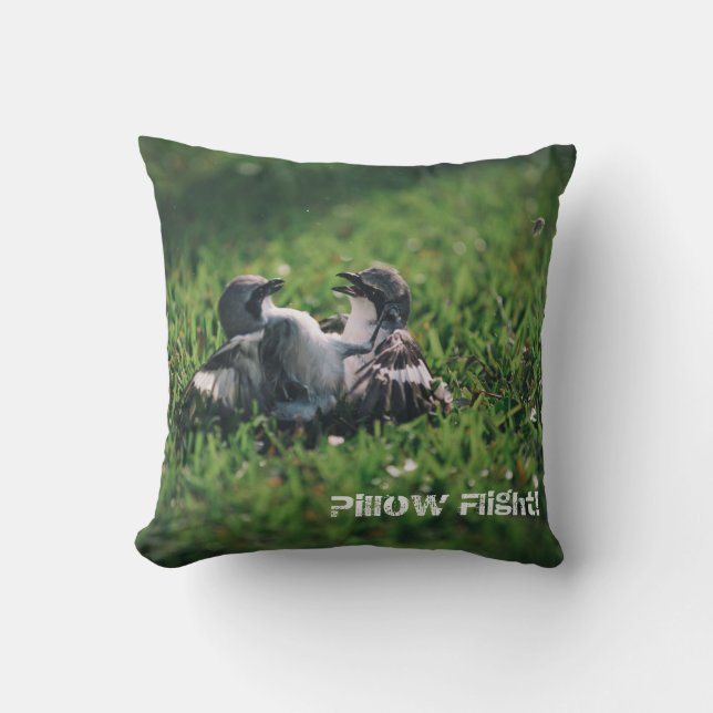 Vol de coussin ! (Recto)