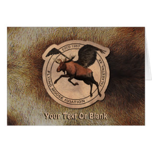 Vol de Moose Aviation