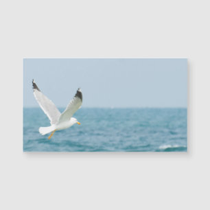 Vol de mouette au-dessus de mer