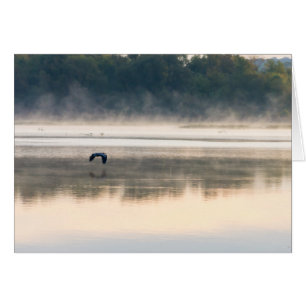Vol du matin de Foggy