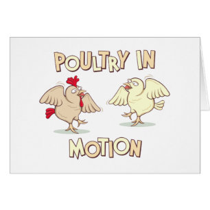 Volaille dans le mouvement