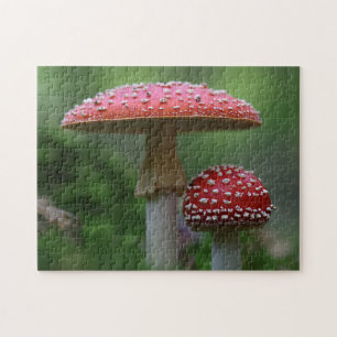 Voler Champignons rouges Agaric Puzzle photo