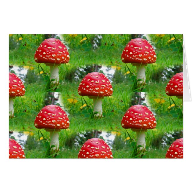 Voler les champignons de l'Agaric (Devant horizontal)