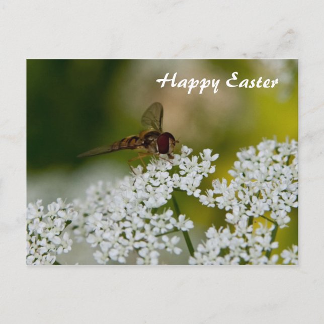 Voler sur une carte postale de Pâques aux fleurs (Devant)