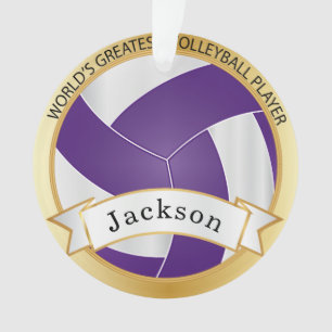 Volley-ball blanc 5 Nom DO-IT-YOURSELF