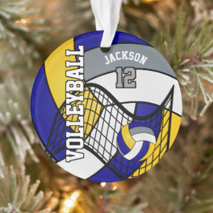 Volley-ball bleu, jaune et gris