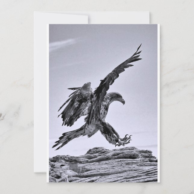 Vols à ma fête - Invitation (Devant)