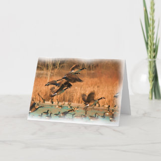 VOLS DE CARTE DE FANTAISIE