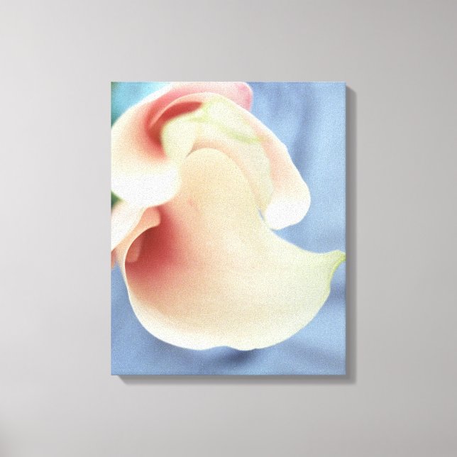 Vortex Blanc Calla Lily Toile Florale Art Imprimer (Recto)