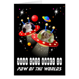 Vos 2 chats dans un Alien vaisseau spatial OVNI Sc