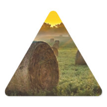 Vos Stickers Triangle Personnalisés