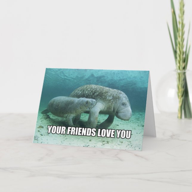 "Votre amour d'amis vous" carte apaisante de (Devant)