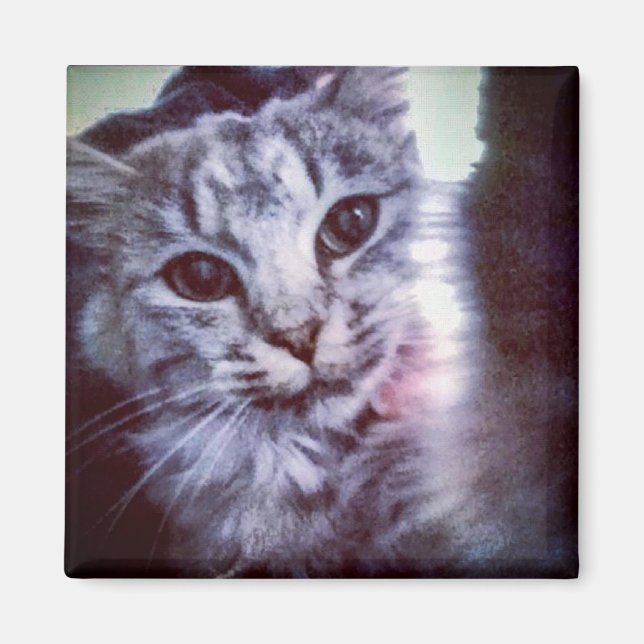 Votre animal de compagnie - Magnet personnalisé (Devant)