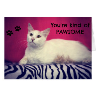 Votre carte d'amour de Pawsome
