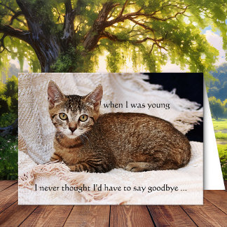 Votre Carte de voeux de Sympathie Photo Chat