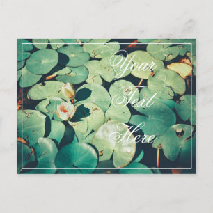 Votre carte postale Fleur de nénuphar à feuilles v