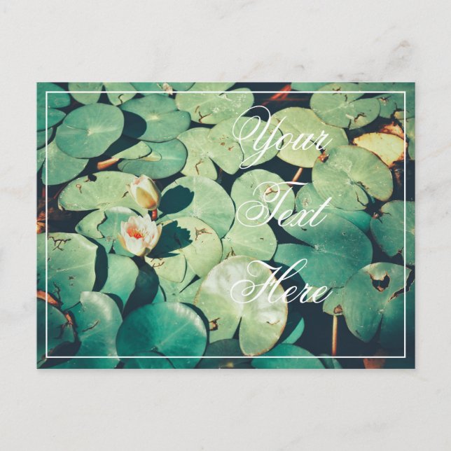 Votre carte postale Fleur de nénuphar à feuilles v (Devant)