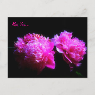 Votre carte postale Peony
