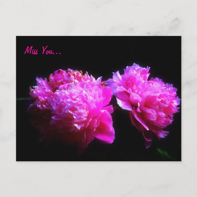 Votre carte postale Peony (Devant)