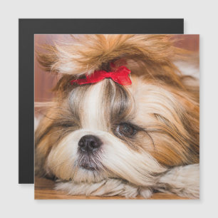Votre chien de chien chiot photo cadeau carte magn
