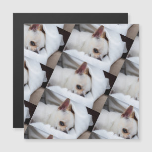 Votre chiot chien de compagnie photo personnalisée
