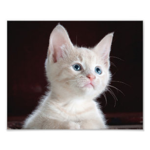 Votre copie faite sur commande de photo