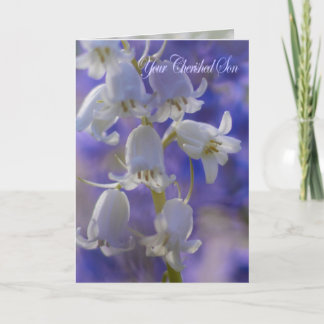 Votre fils aimé, carte de sympathie