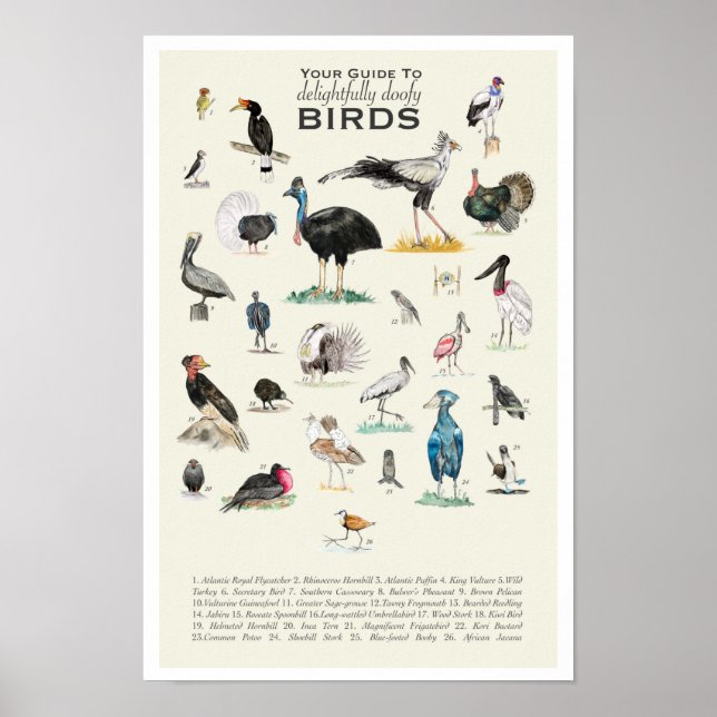 Votre guide des oiseaux de toiture 11x17 Poster (Devant)