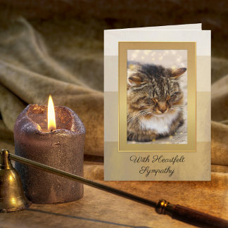 Votre photo Elegant Gold Striped Chat Carte de Sym