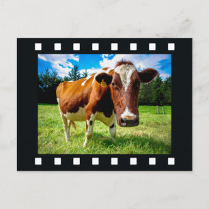 VOTRE PHOTO en "pellicule" carte postale