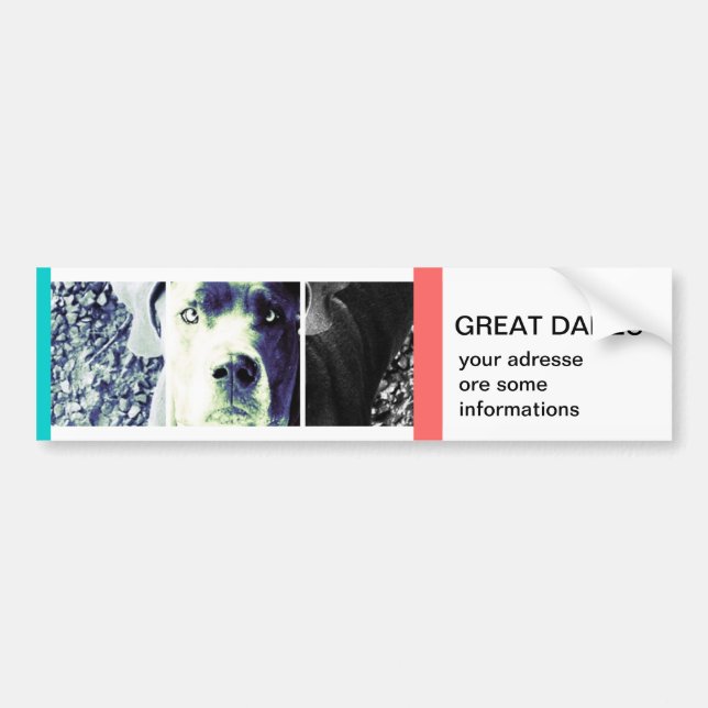 votre propre Bumper Sticker (Devant)