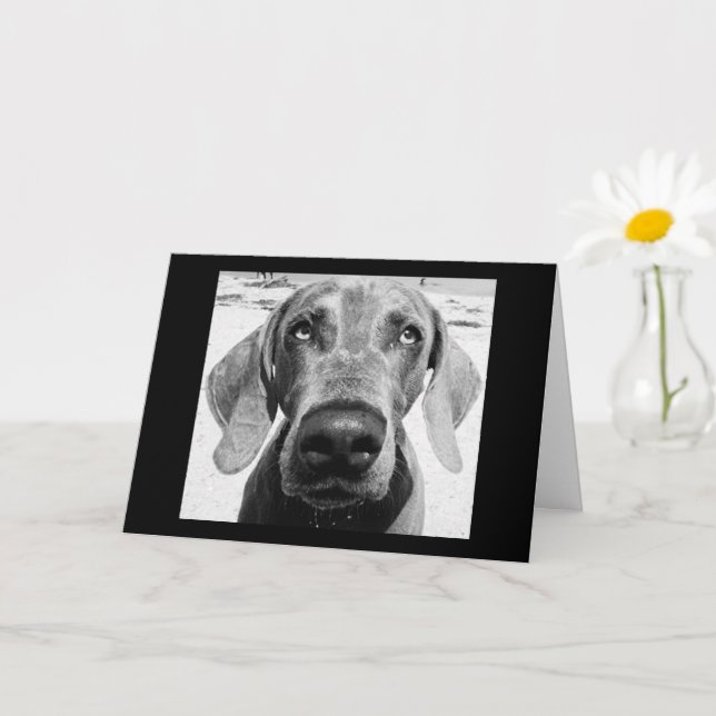 VOTRE RETRAITE "CHIEN CHANCEUX !" CARTE (Petite plante)