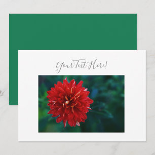 Votre Texte Superbe Invitation Fleur de Dahlia Rou