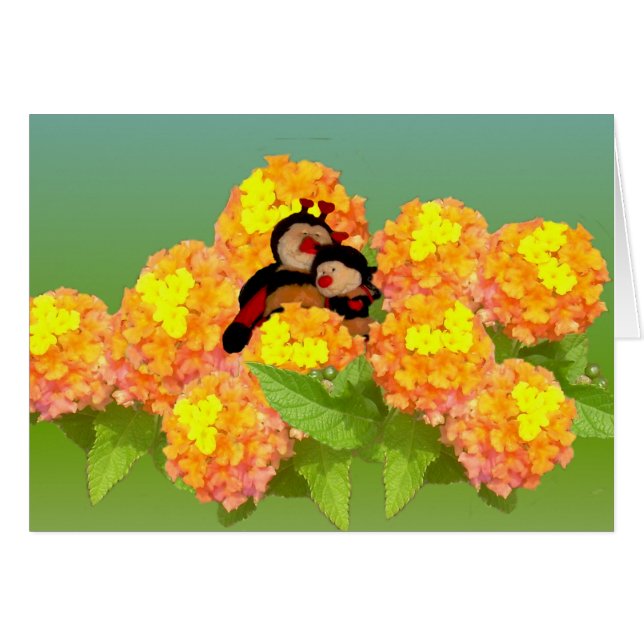 Voulez au beee avec vous (Devant horizontal)