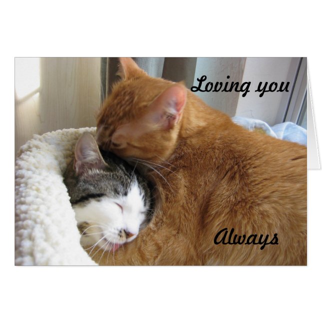 Vous aimer, Toujours 036 (Devant horizontal)